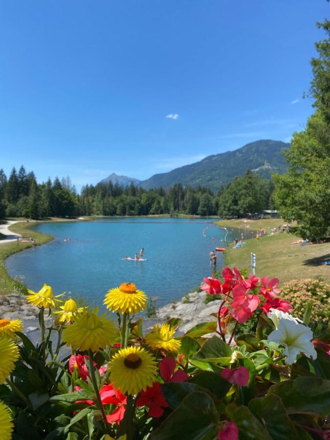 Apartmán Duplex Samoens 4/6 Couchages Exteriér fotografie